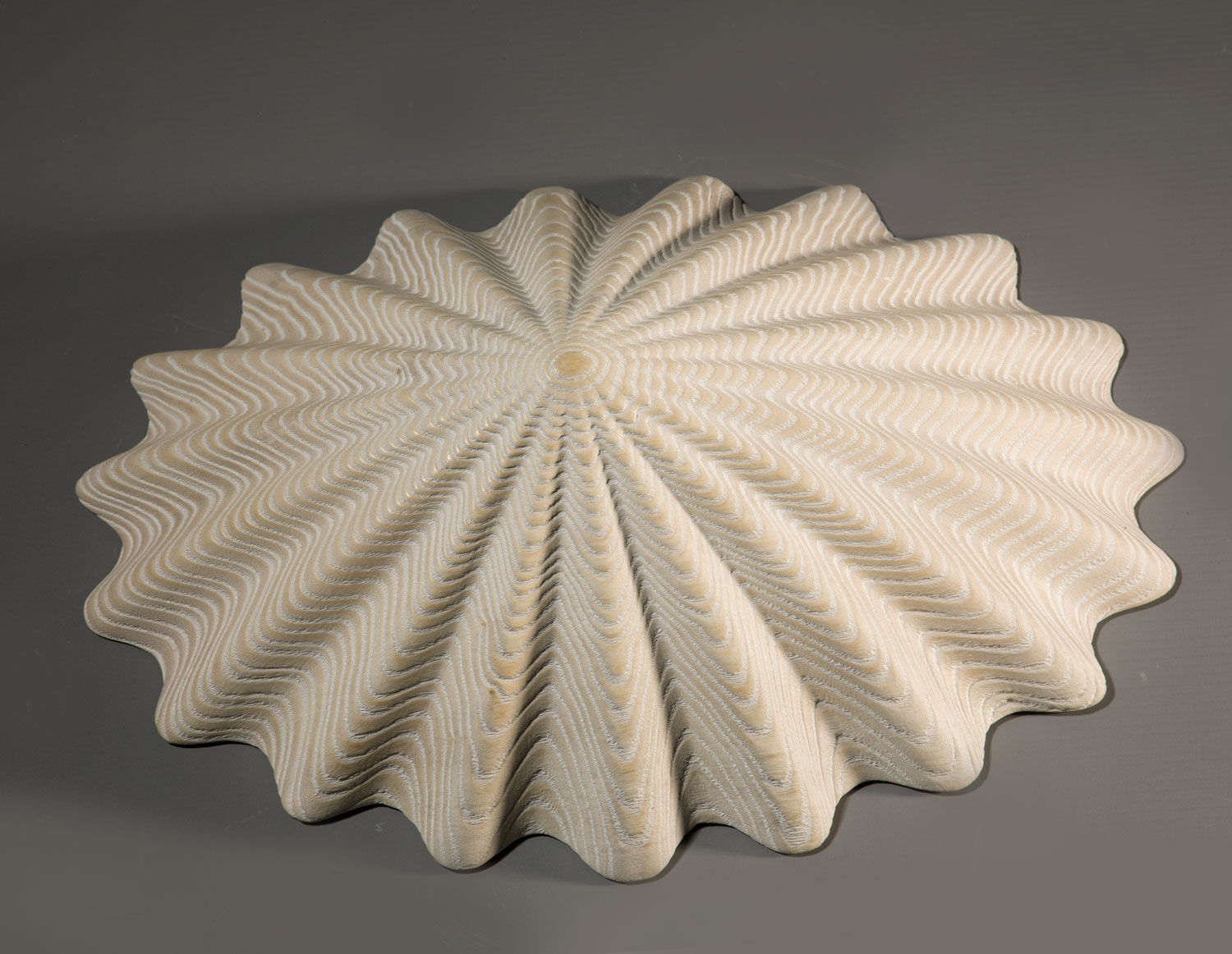 Duke Christie, White Limpet, 2020