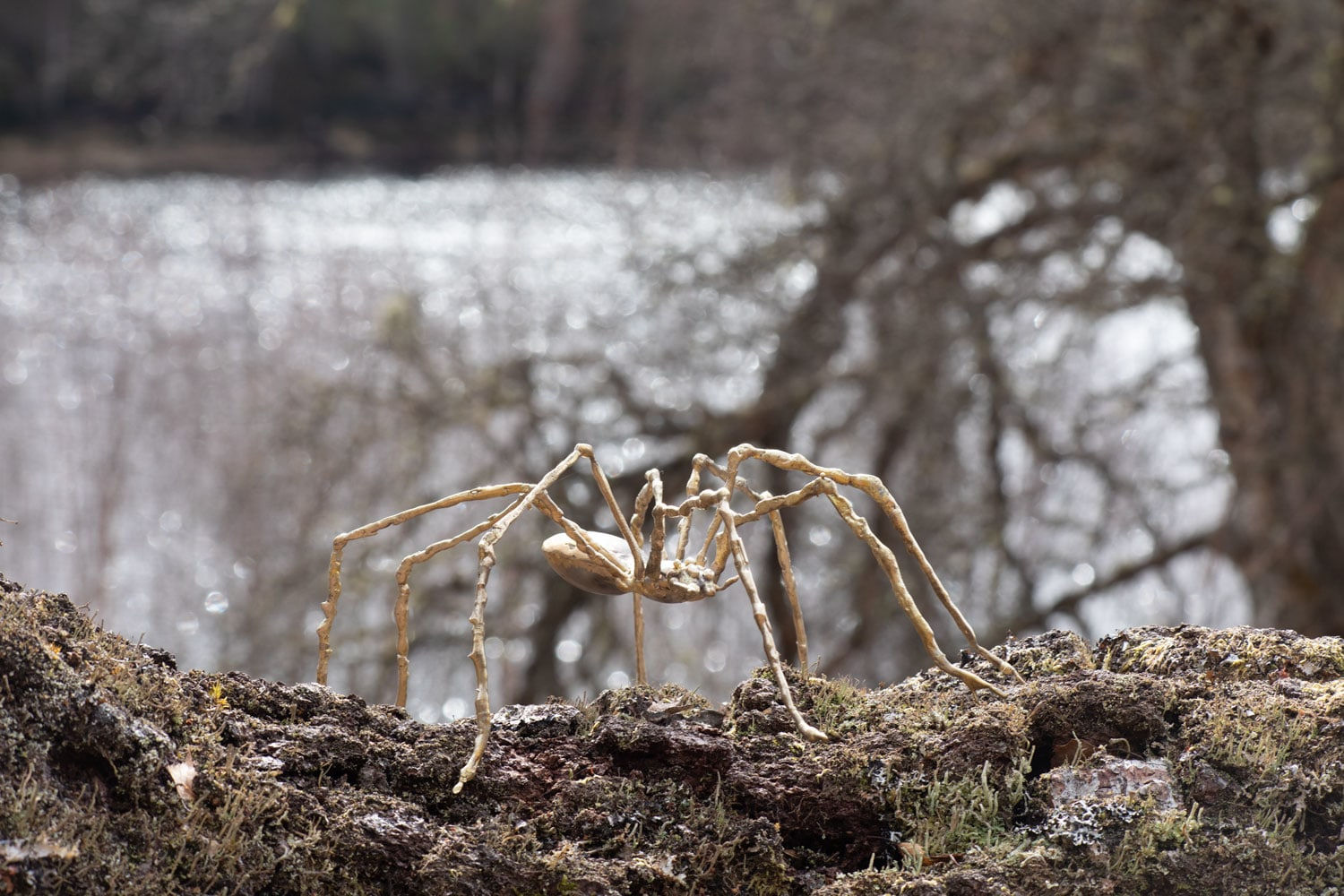 Helen Denerley, Golden Spider, 2023