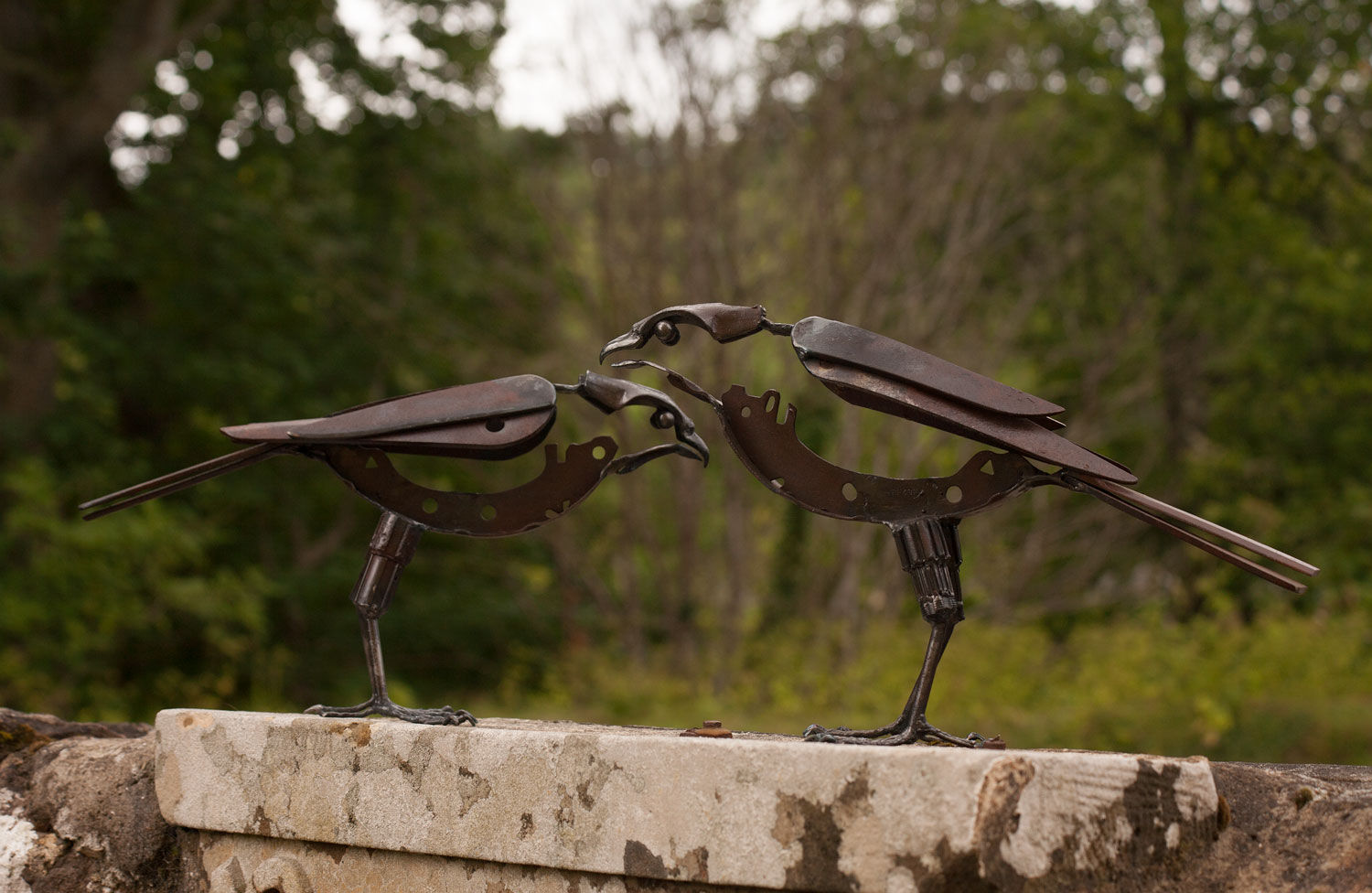 Helen Denerley, Sparrowhawk