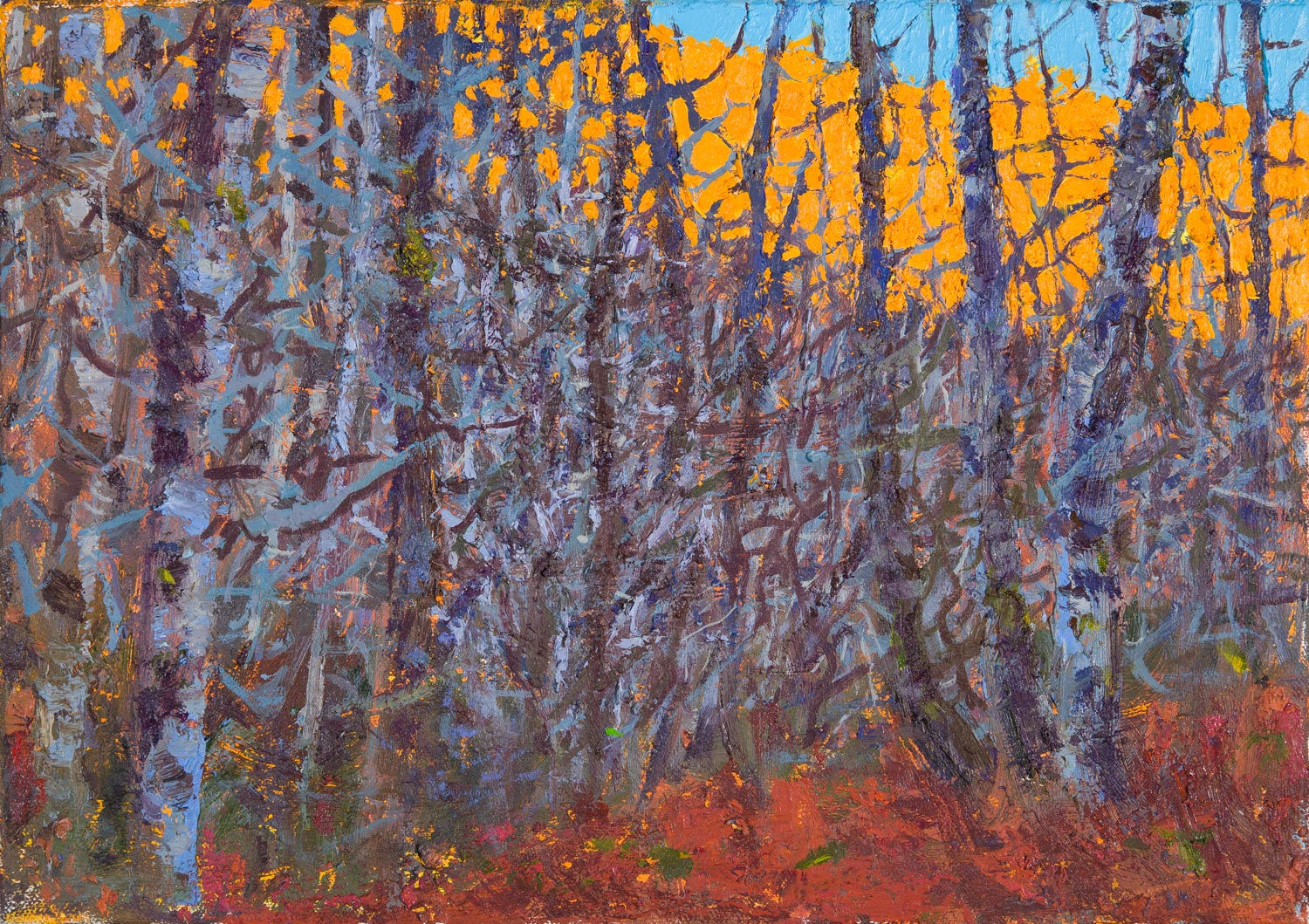 Allan MacDonald, flaming larches, Rogie, 2021