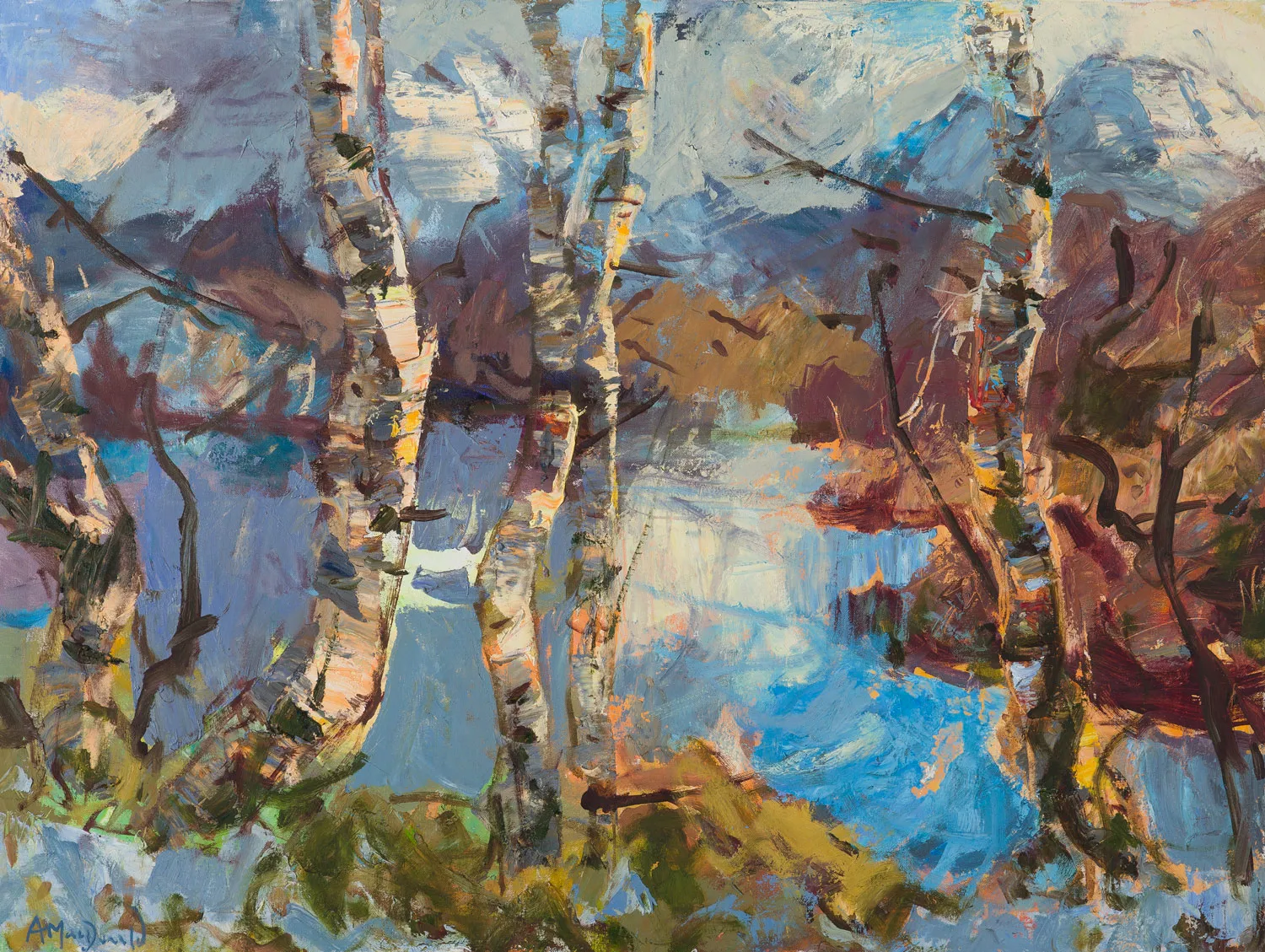 Allan MacDonald, excursion, Cul Beag, 2020