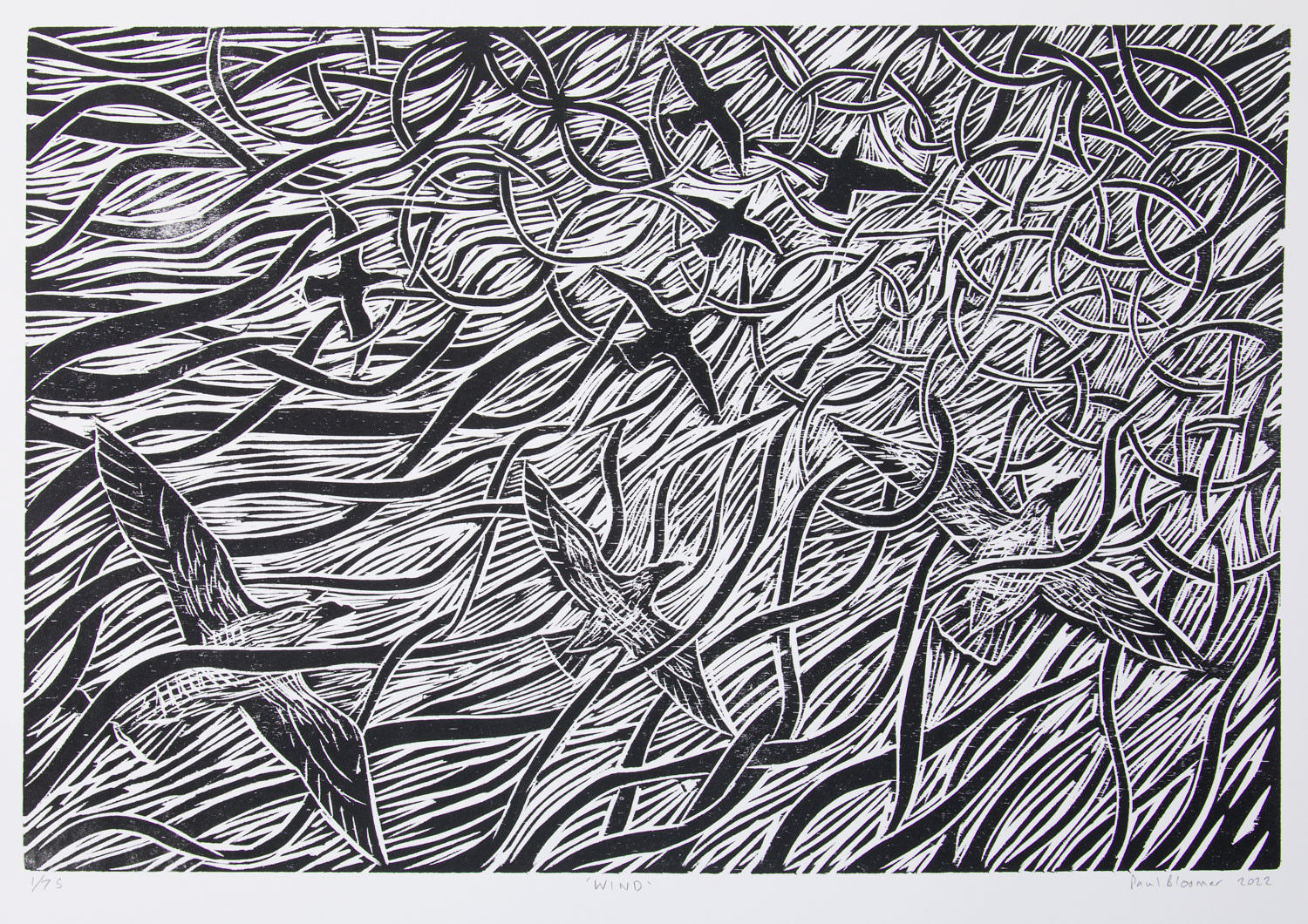 Paul Bloomer, Wind, 2022