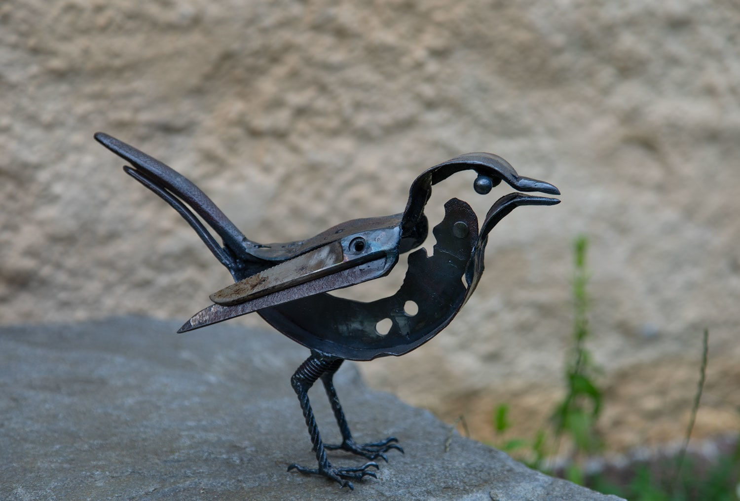 Helen Denerley, Blackbird, 2023