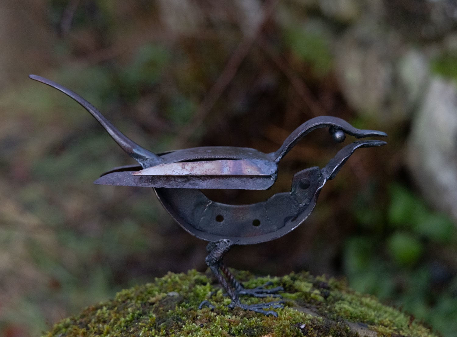 Helen Denerley, Blackbird ii, 2023