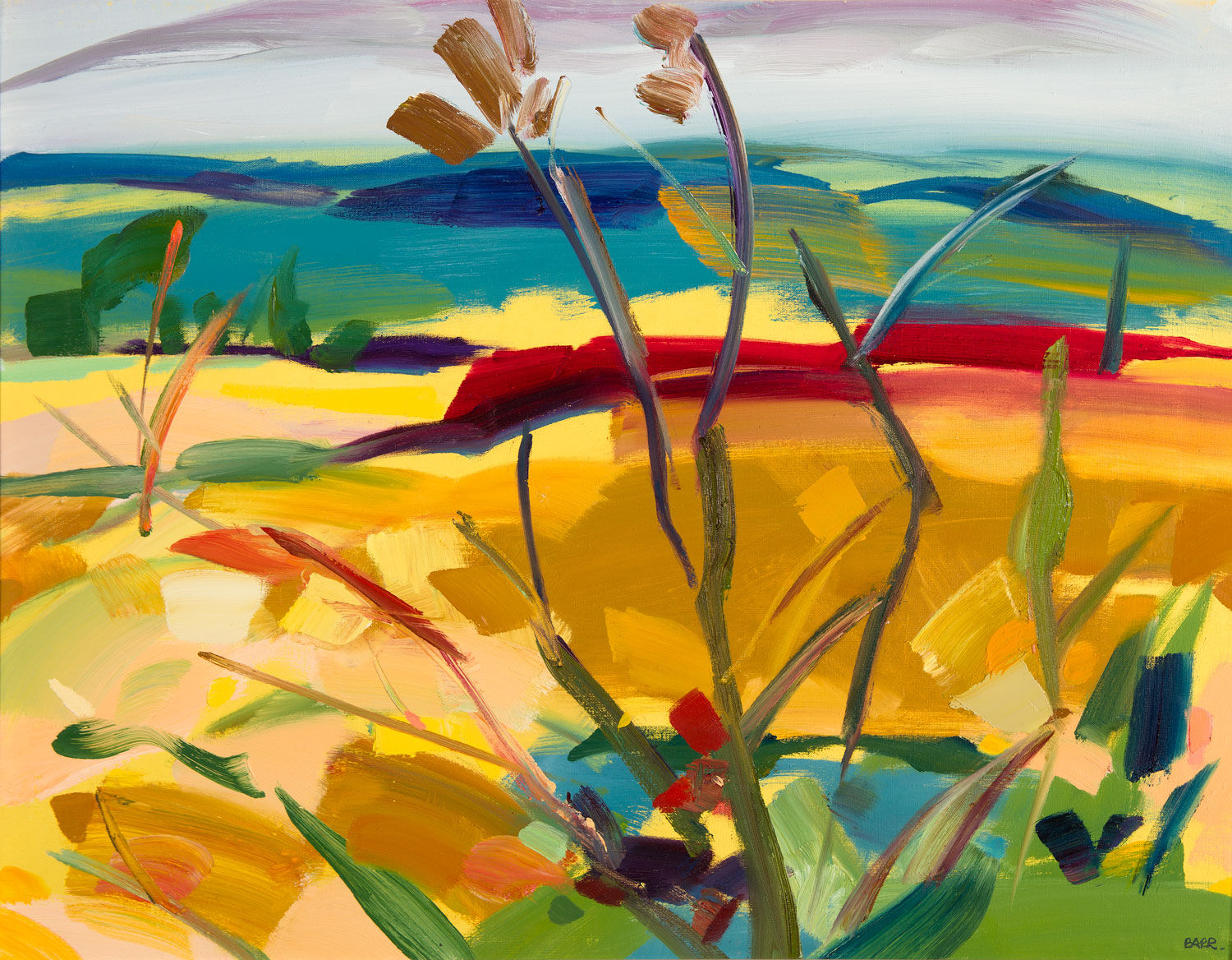 Shona Barr, Auchnagatt, 2019