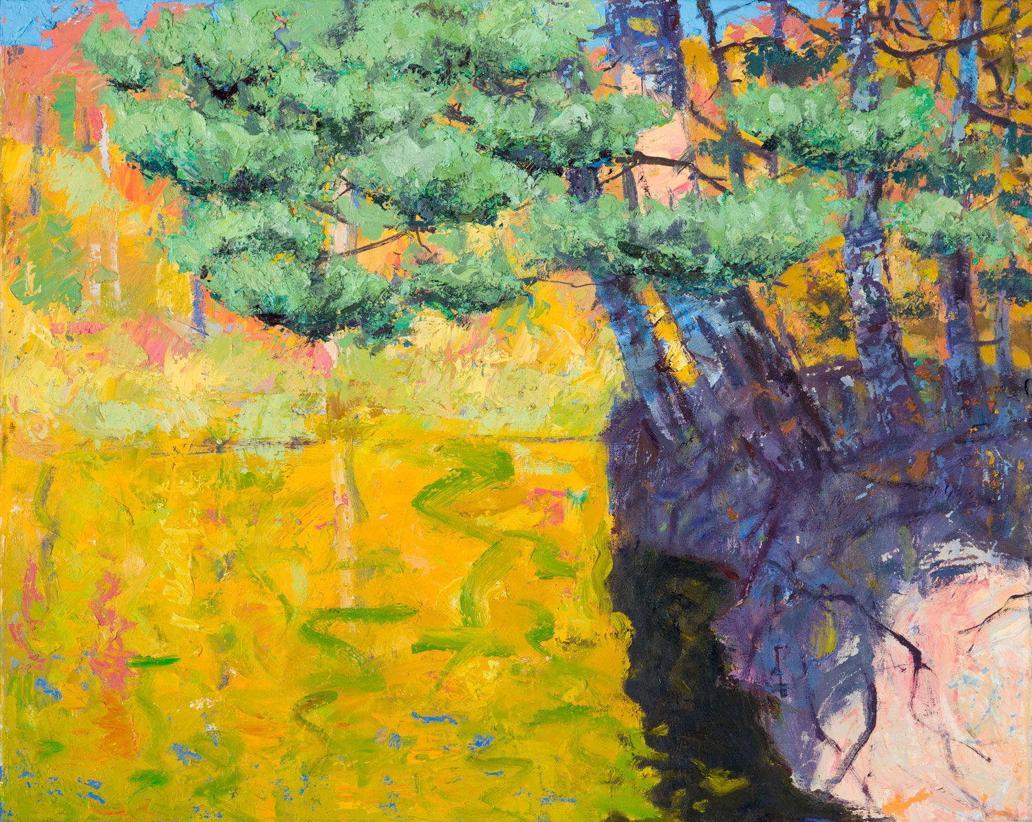 Allan MacDonald - Canopy, Tea Lake Dam