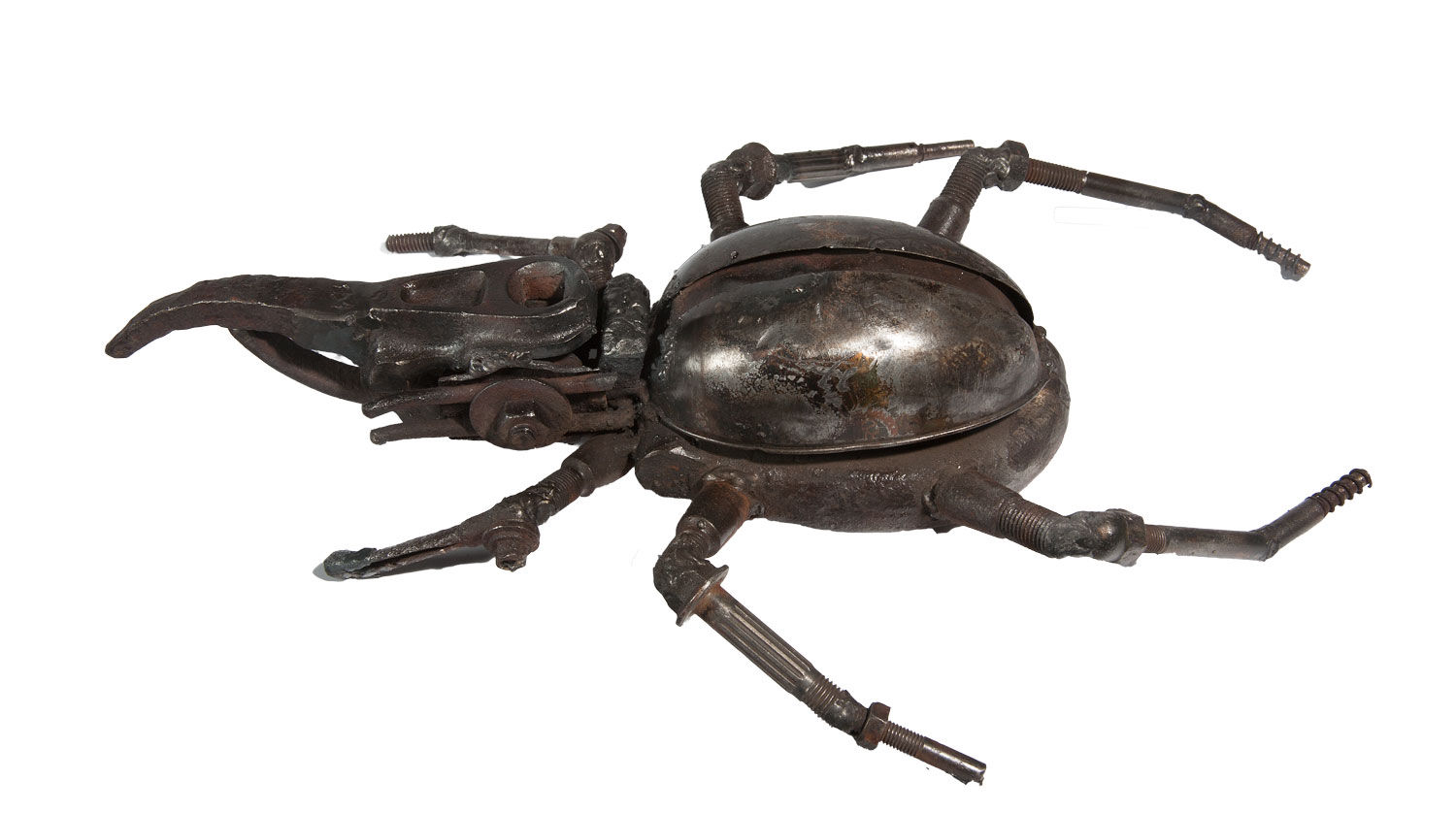 Helen Denerley, Rhinoceros Beetle