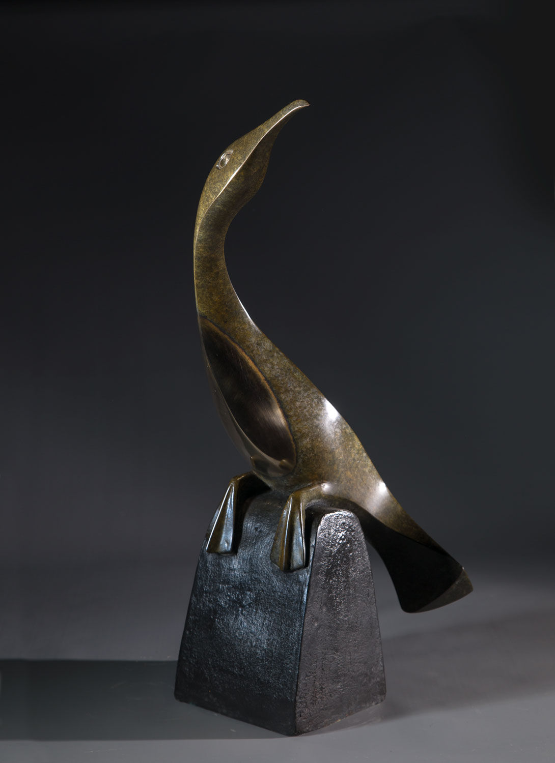 Illona Morrice, Cormorant, 2020