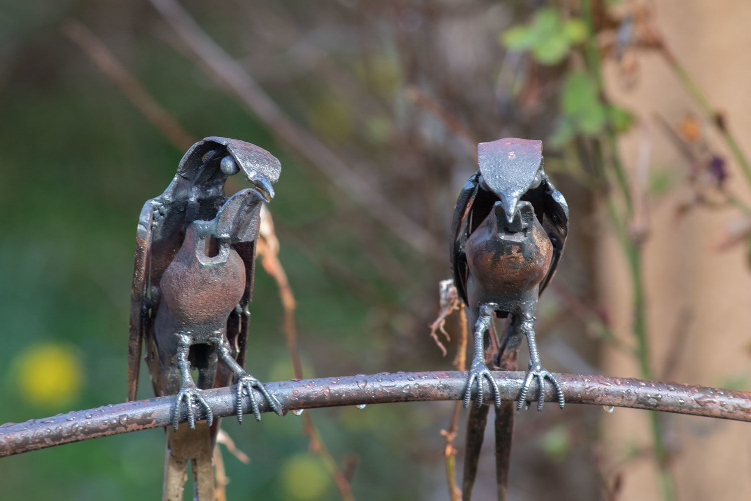 Helen Denerley, Swallows, 2023