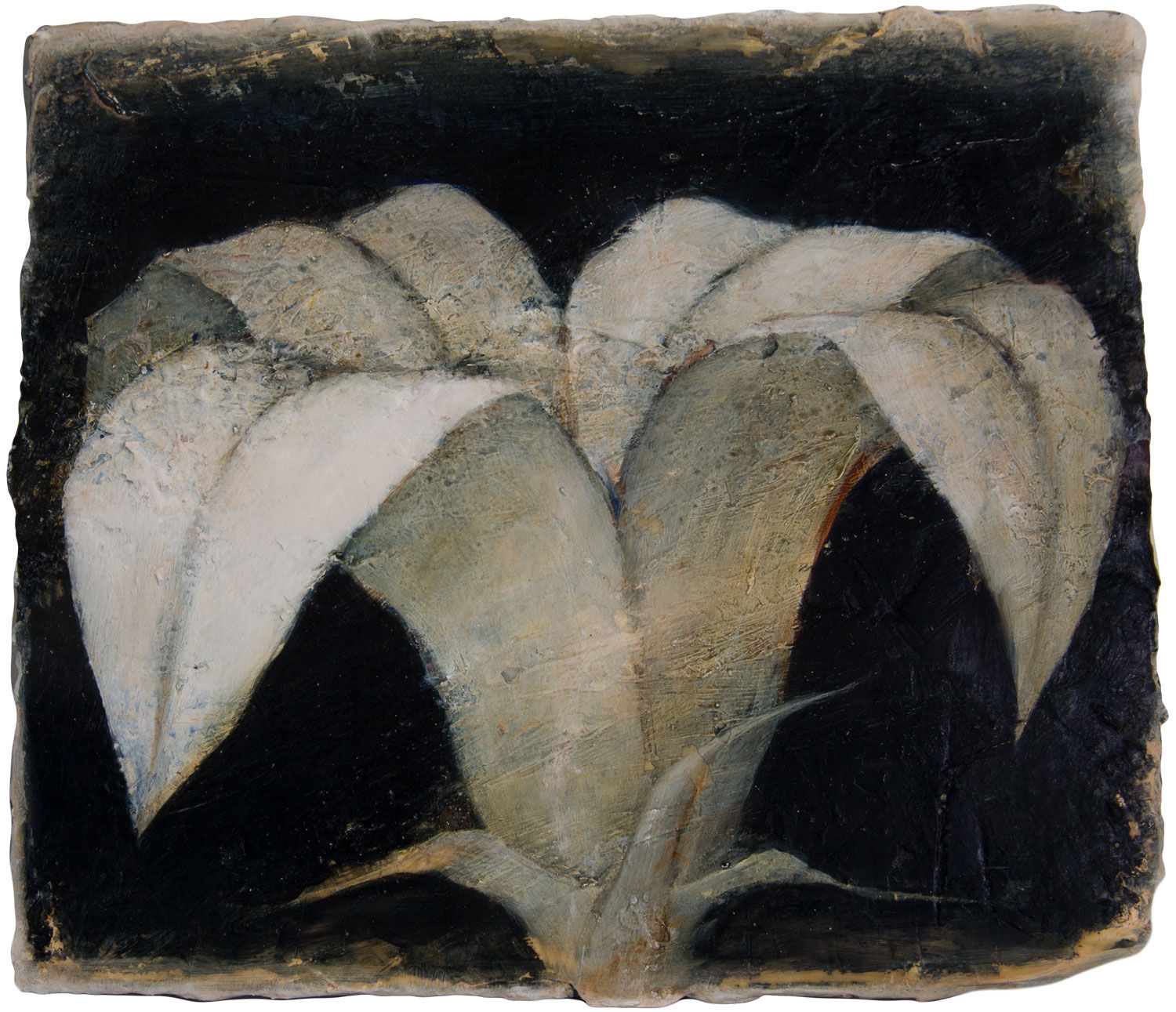 Peter White, Flower 2