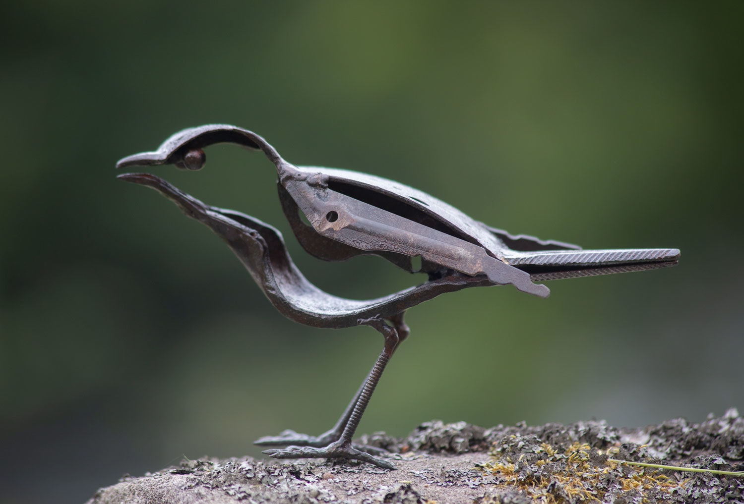 Wee bird Helen Denerley