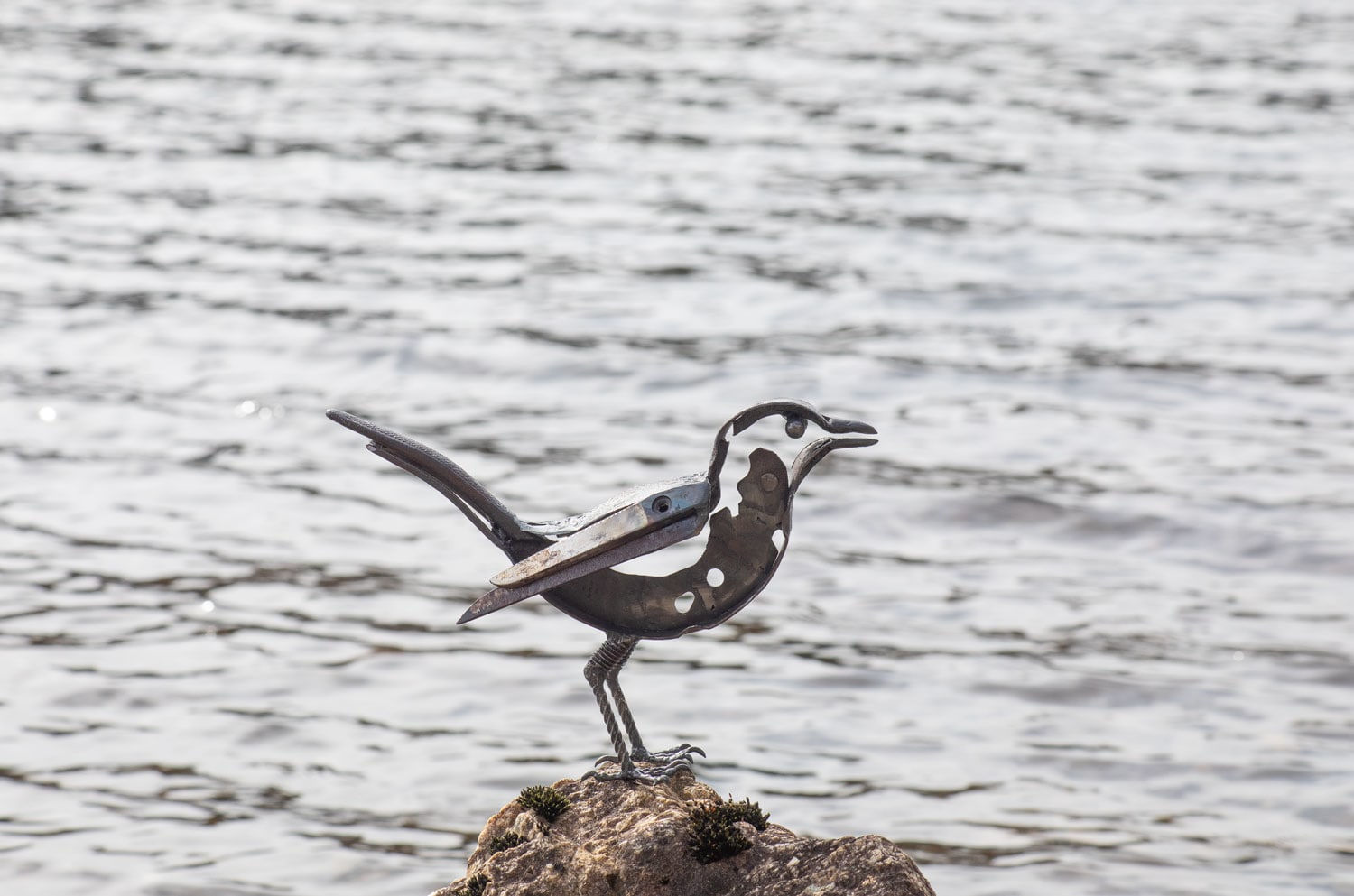 Helen Denerley, Blackbird, 2023