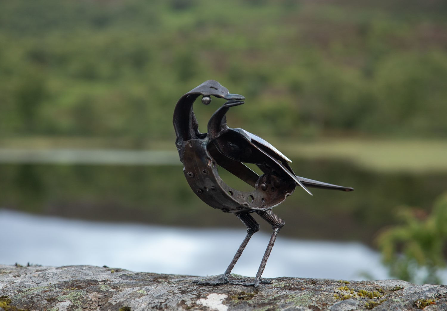 Helen Denerley songthrush