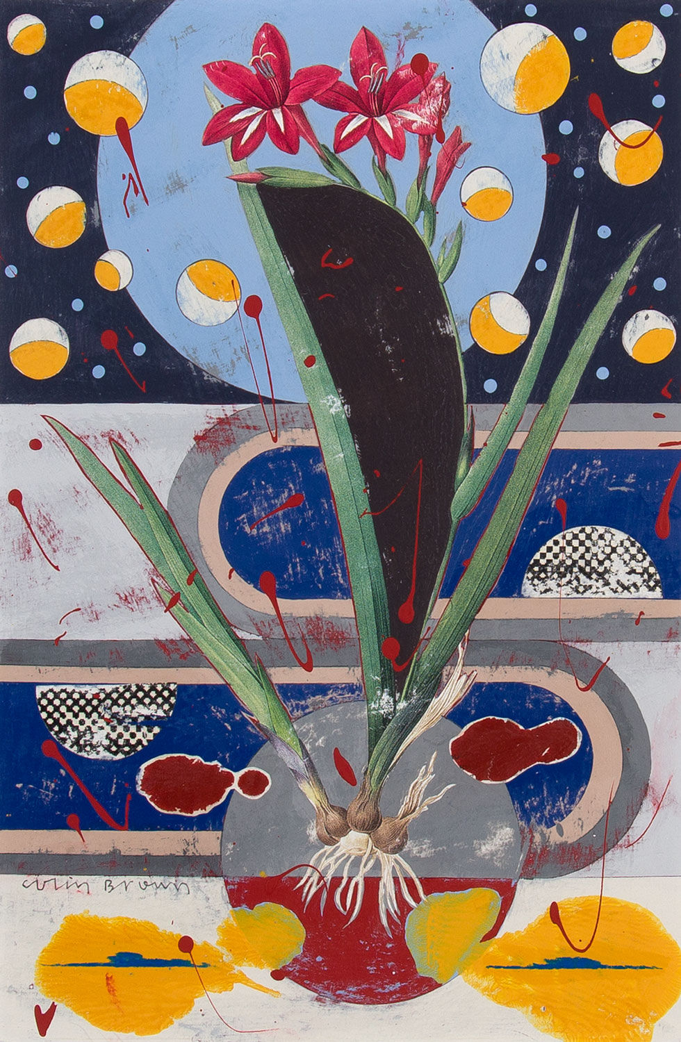 waterfall gladiolus | COLIN BROWN