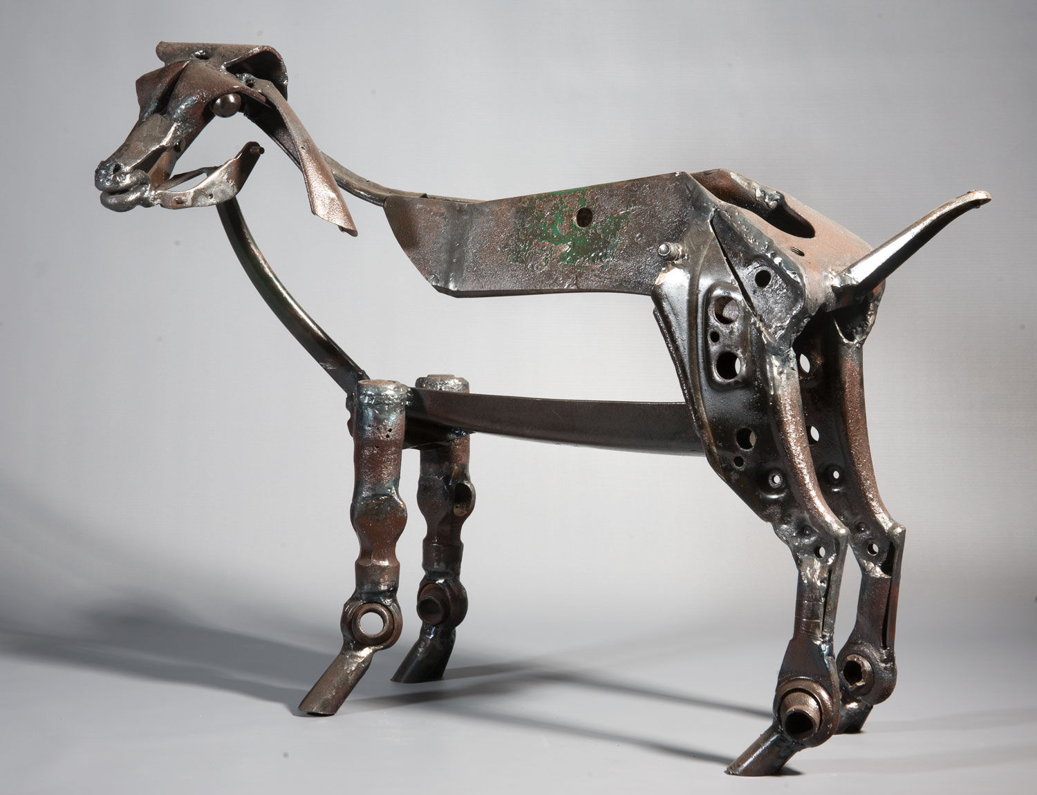 Helen Denerley, Mountain Goat Kid