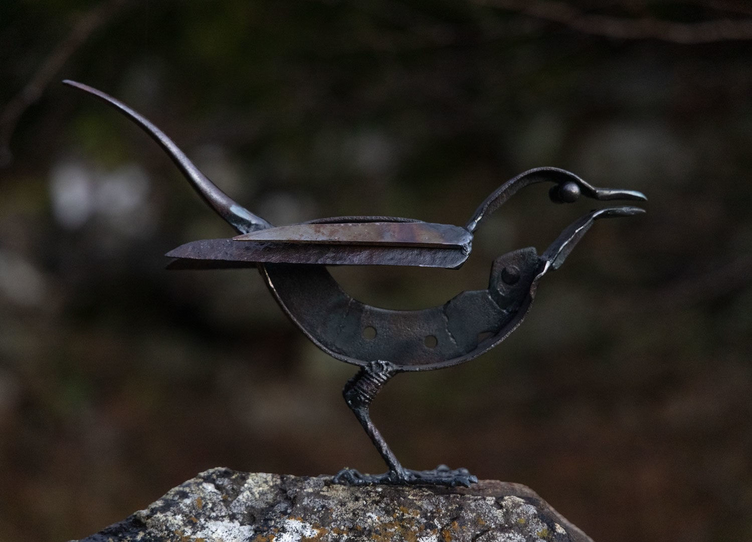 Helen Denerley, Blackbird ii, 2023