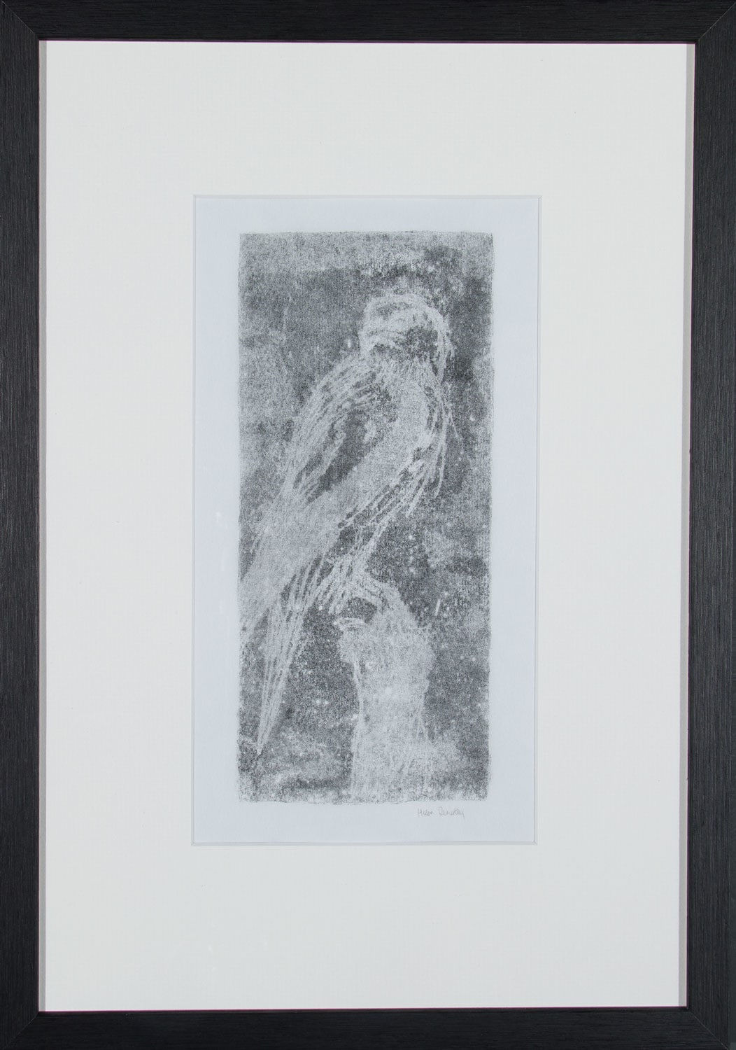 Helen Denerley, Ghost Kestrel, 2023