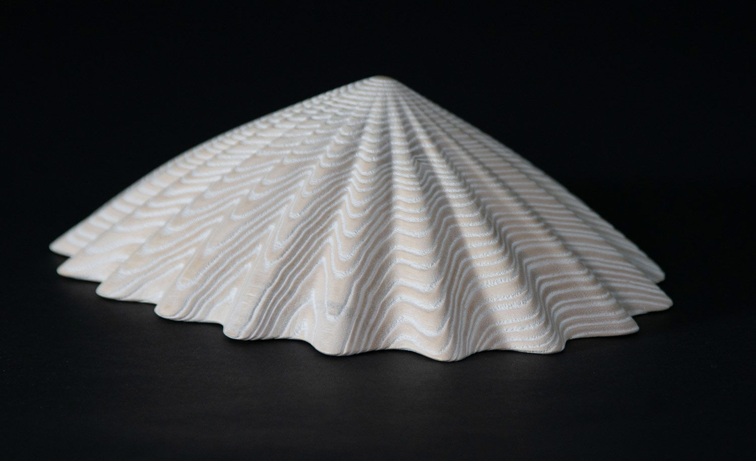 Duke Christie, White Limpet, 2020