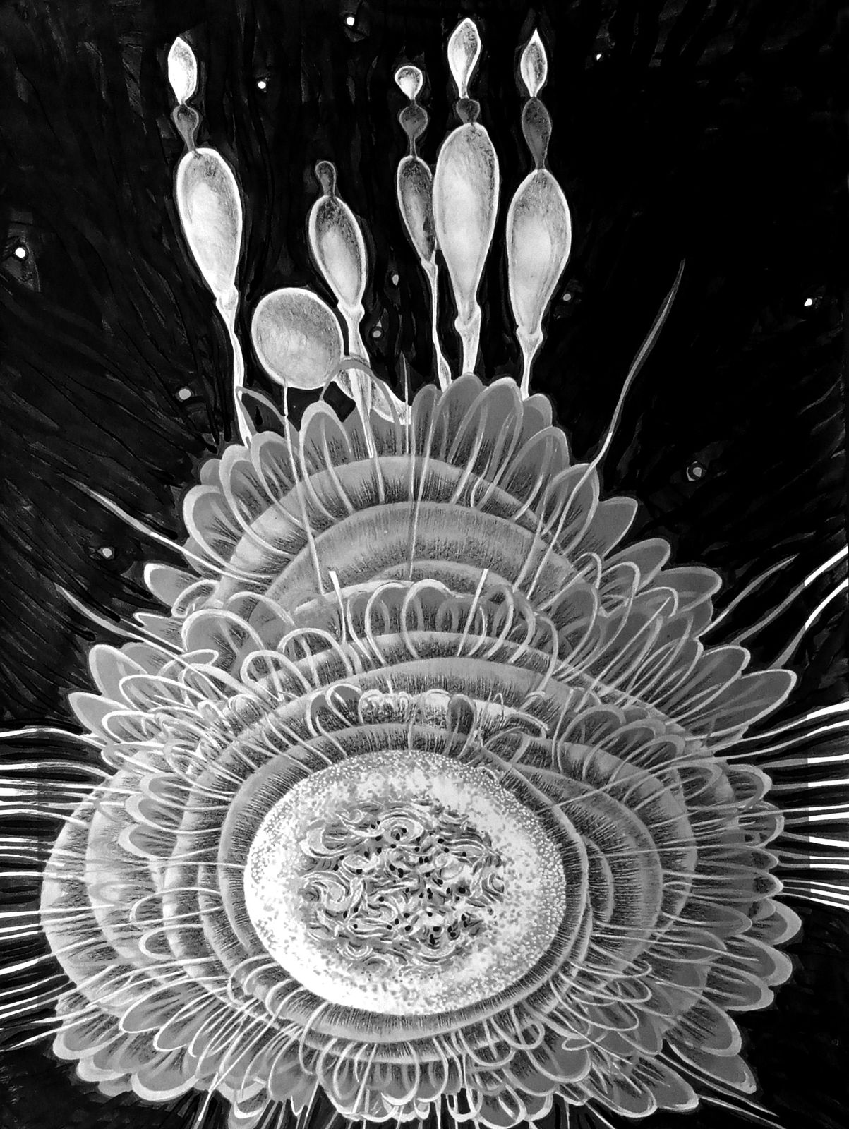 Odun Orimolade, Infinitum, 2023