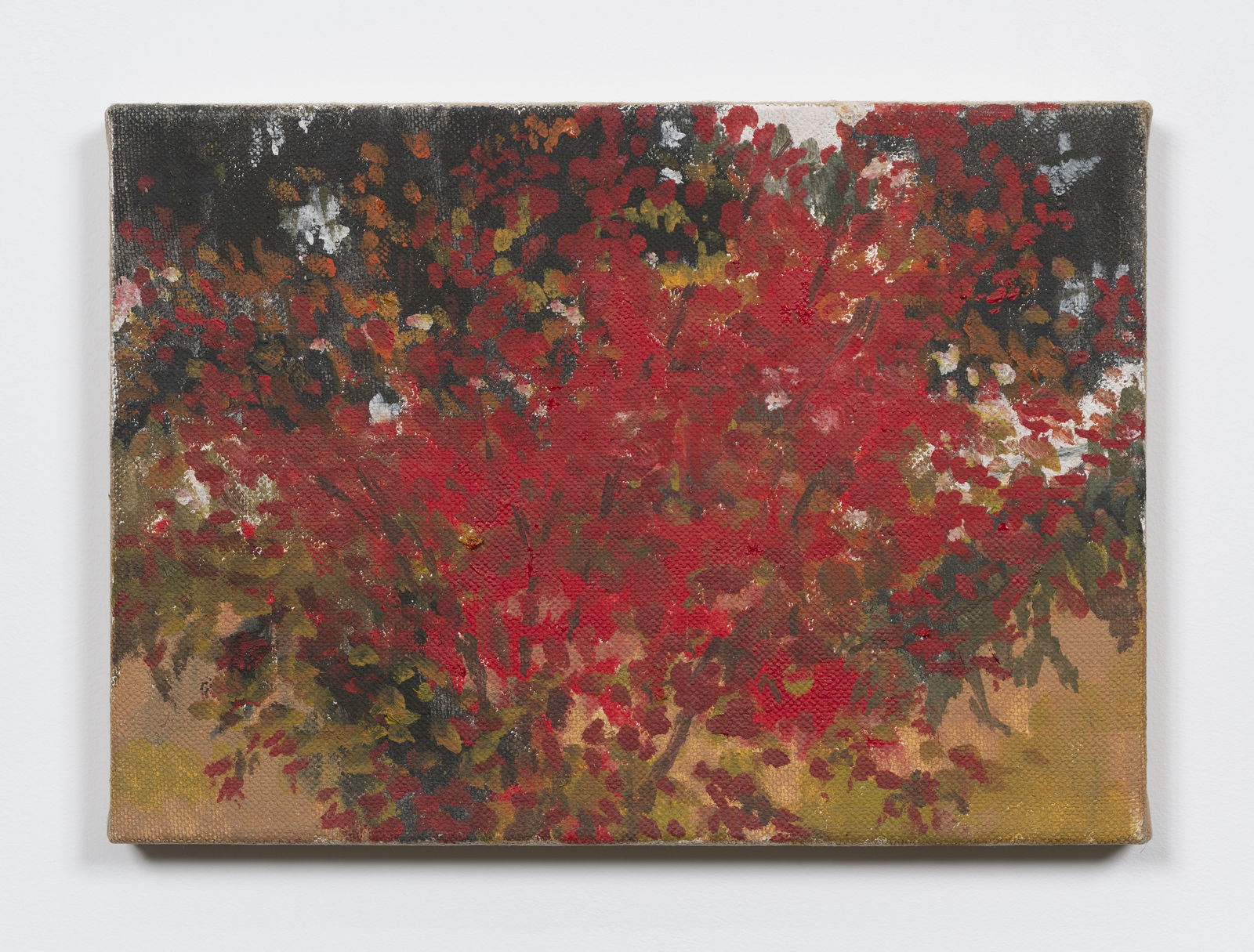 Merrill Wagner, Untitled #19 (November), 1998