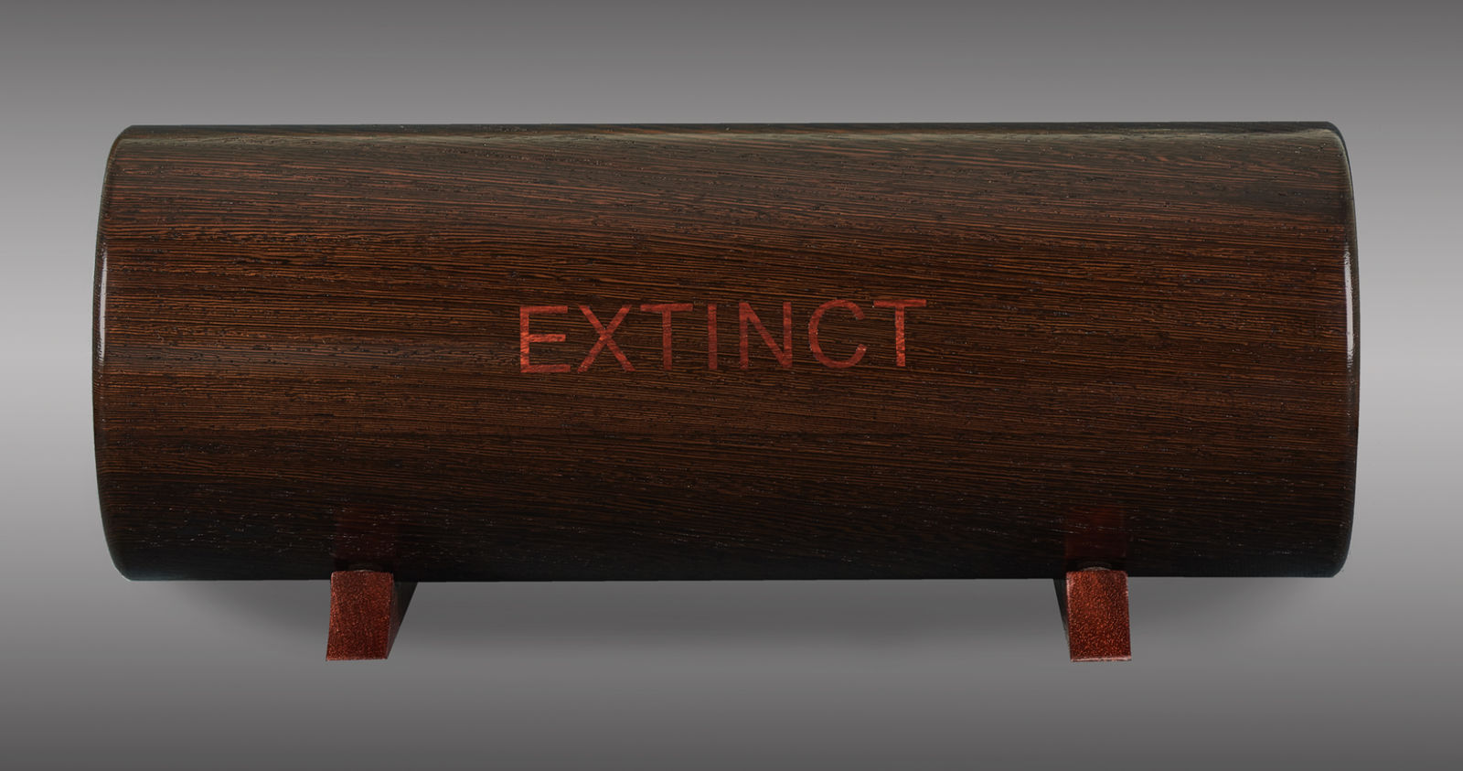 Stephen Kaltenbach, EXTINCT, 1970 - Present