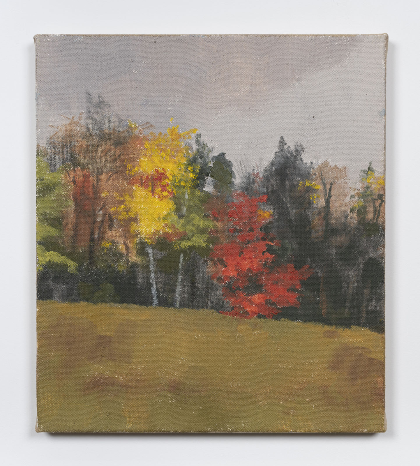 Merrill Wagner, Untitled (#19 November), 1997