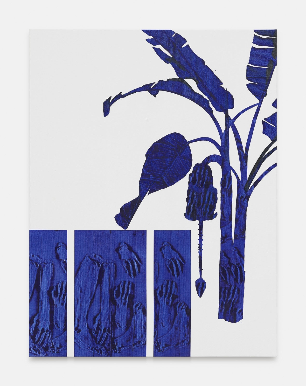 Alex Carver, Plant Food: Not a Metaphor X, 2018