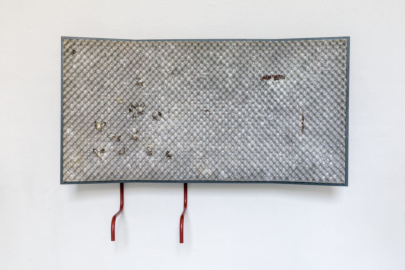 Agata Ingarden - Diplome-8561- HD