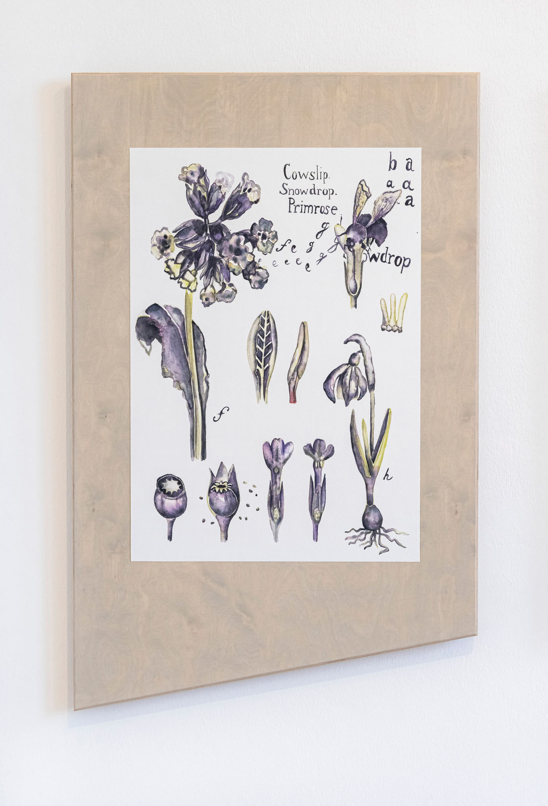 kennedy + swan, Mixed Signals #2 Primrose, 2023