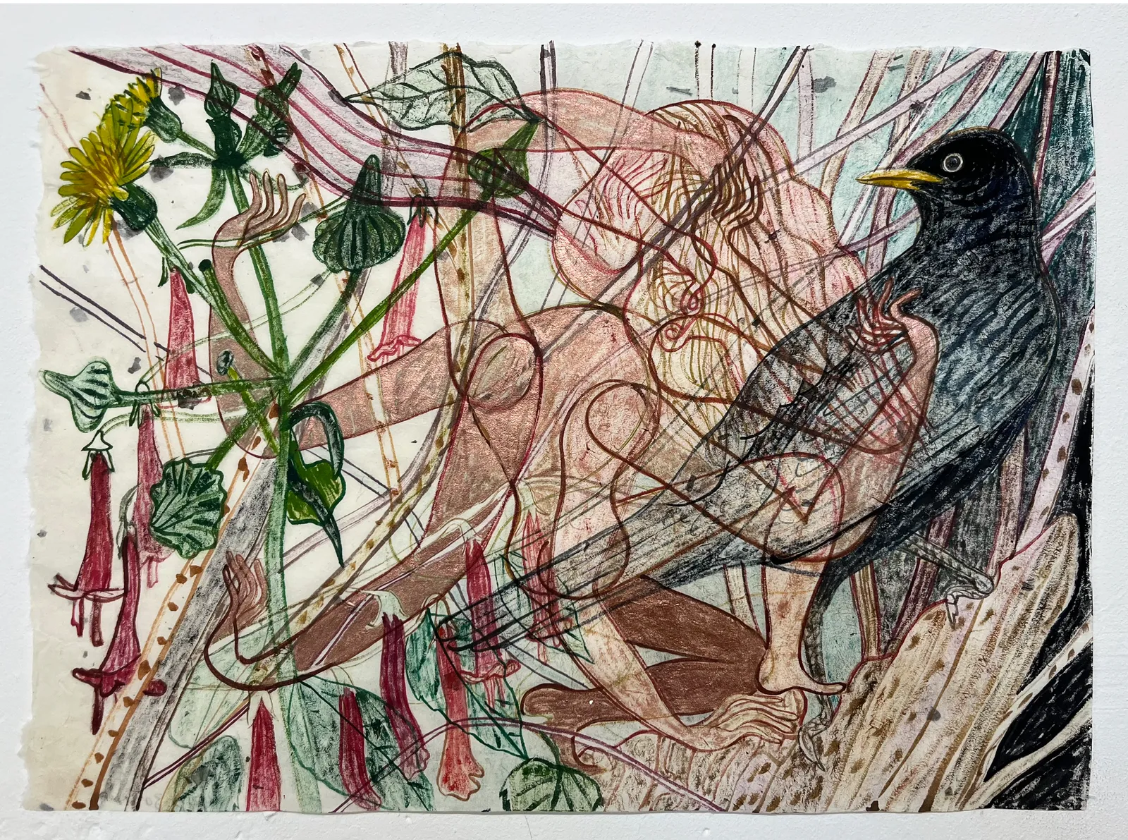 Emma Talbot, Song , 2025