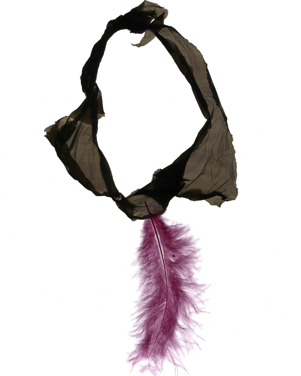 Hector Castells Matutano, Widow, 2014