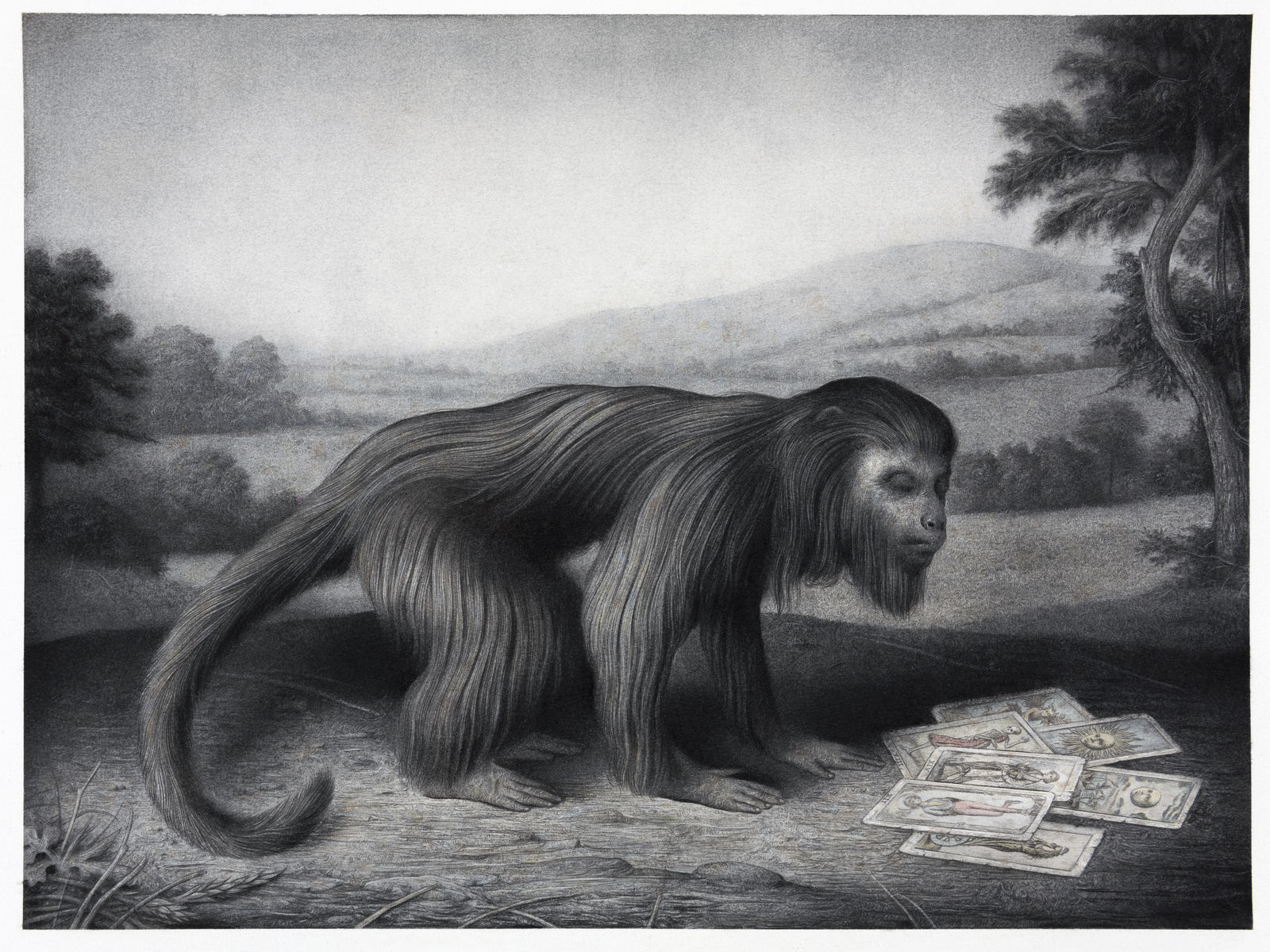 Sverre Malling, Tarot Monkey, 2020
