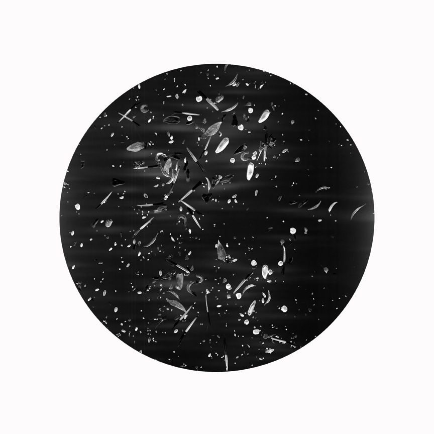 Alison Stolwood, Seeds - Mixed Bumblebee Friendly Flowers, 2012