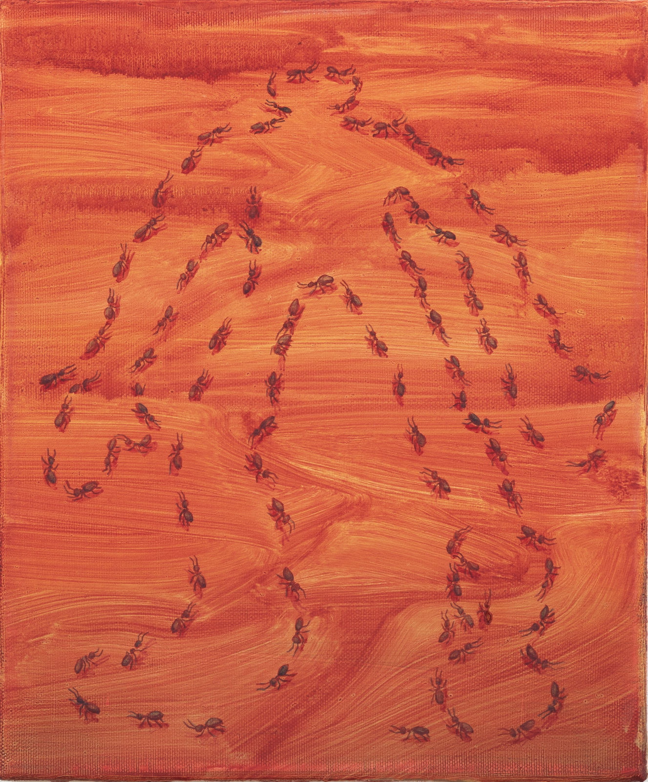 Paula Turmina, Ant trail n.2, 2023