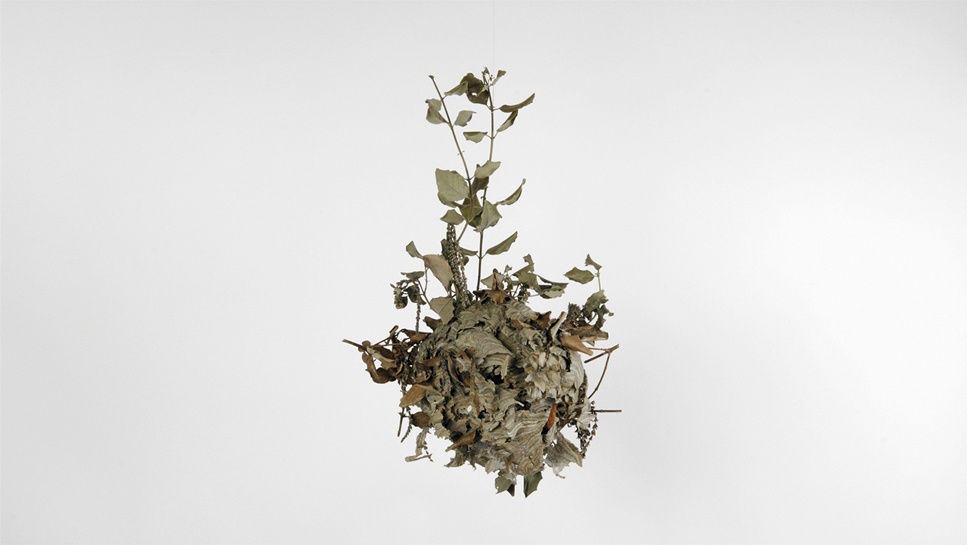 Alison Stolwood, Wasp Nest, 2011