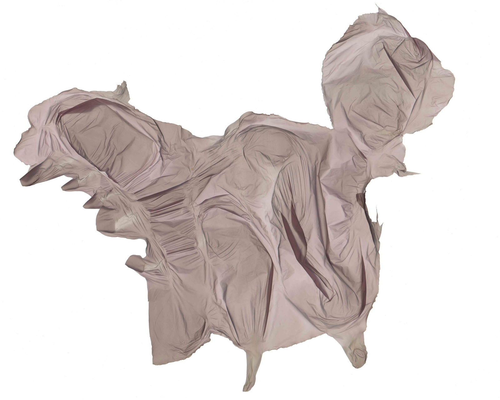 Hector Castells Matutano, Basketcase, 2014