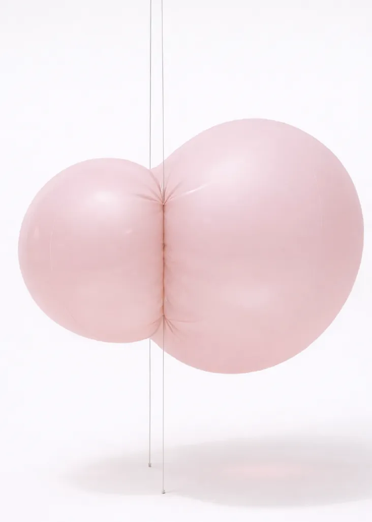 Alexandra Searle, Suffuse, 2026