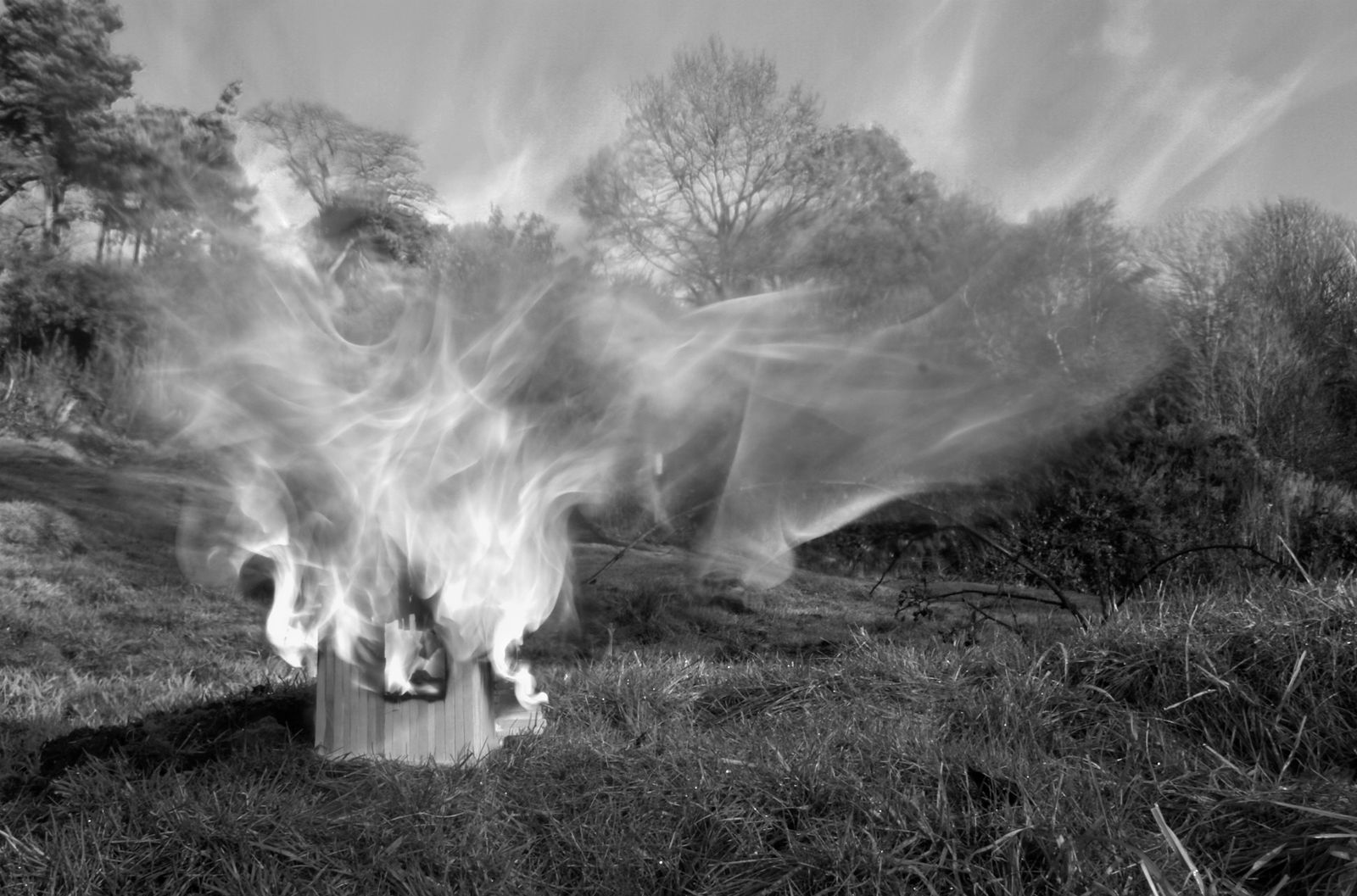 Evy Jokhova, Three Little Pigs, 2013