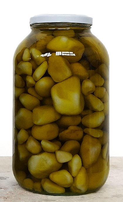 Athar Jaber, Preserved Stones 2, 2021