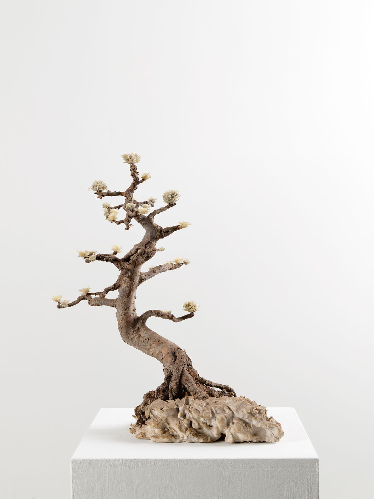 Lionel Sabatté, Île 3, 2019