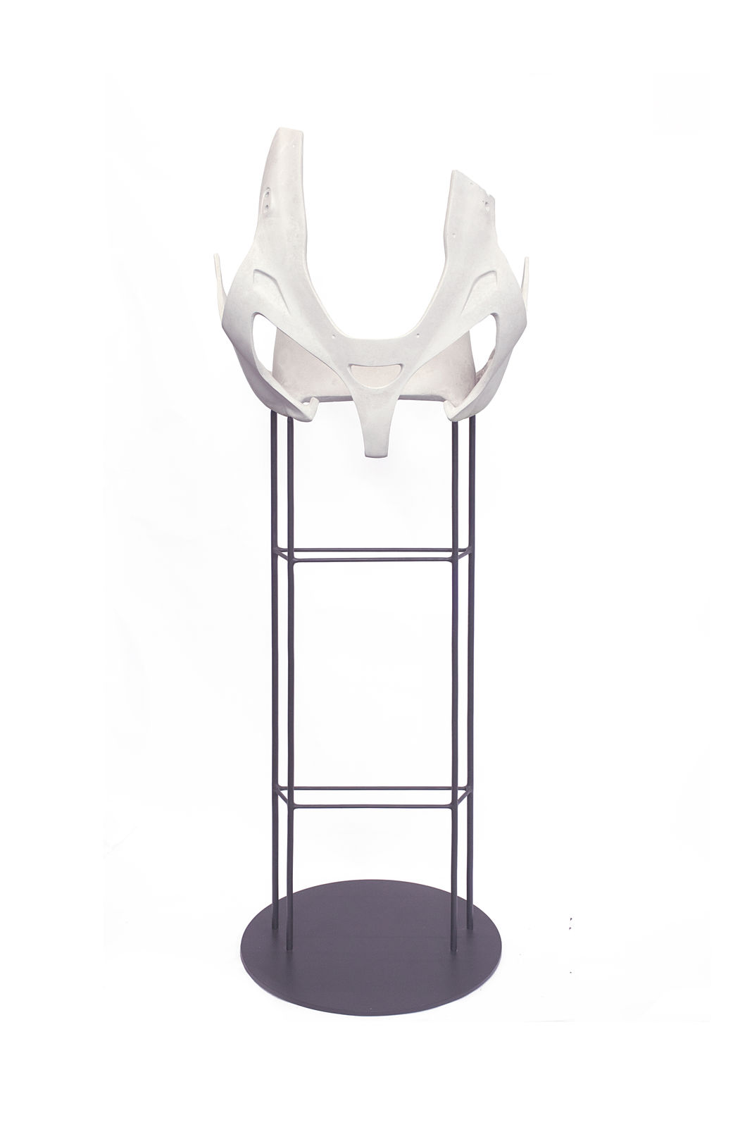 Katja Larsson, Companion Species II, 2017