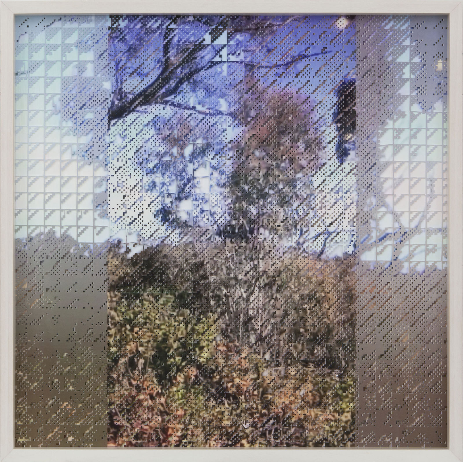 Caroline Jane Harris, WindowSwap (Two Trees), 2021