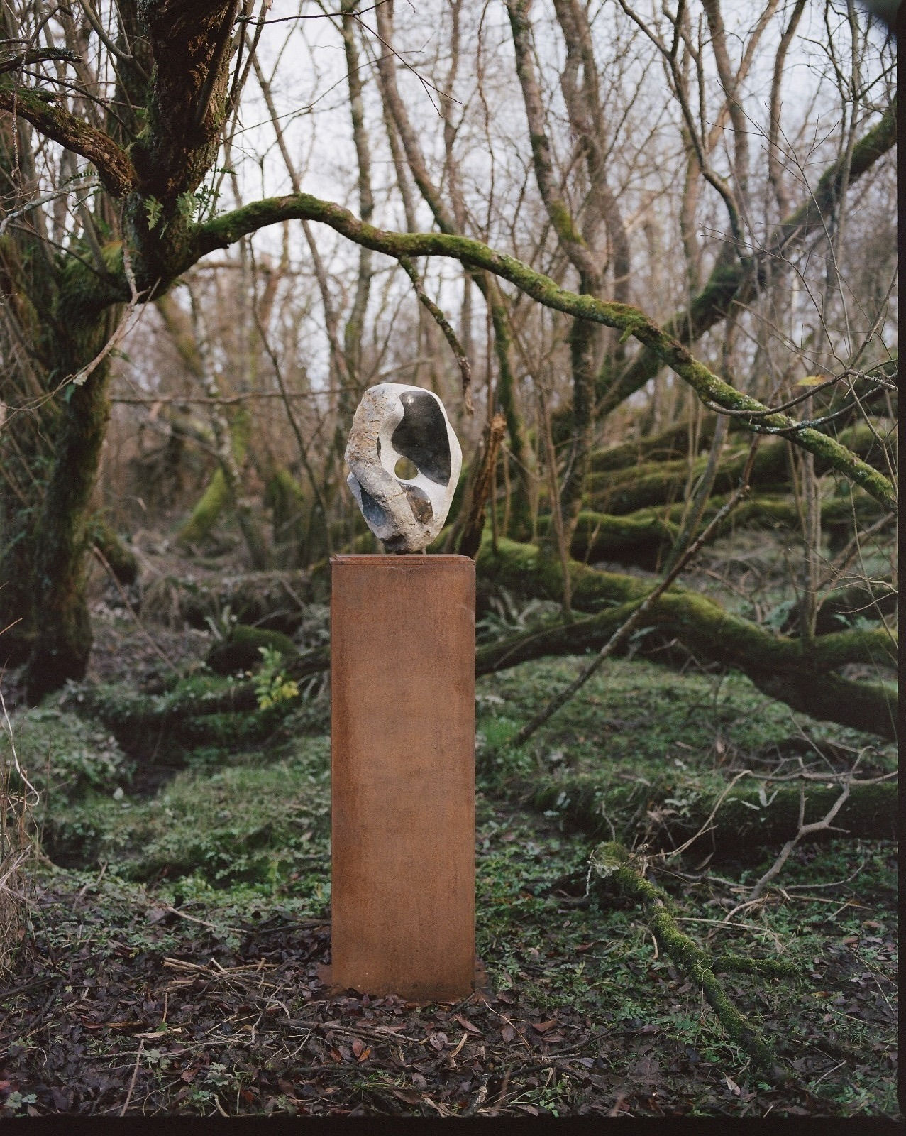 Luke Alen-Buckley, Talisman III, 2020