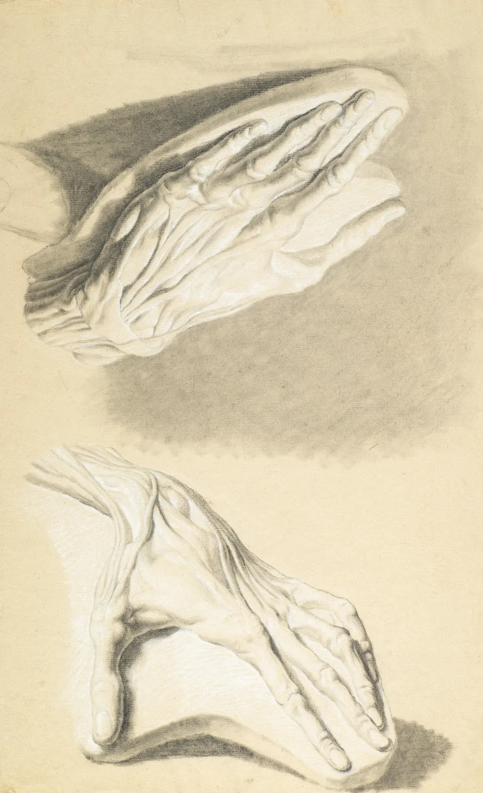 Jacques-Laurent Agasse, a detailed anatomical drawing of hands by Jacques-Laurent Agasse, showcasing intricate muscle and bone structure.