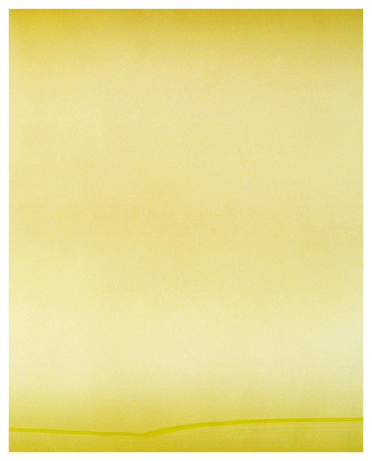 Vasylyna Vrublevska, Sunflower #1488, 2024