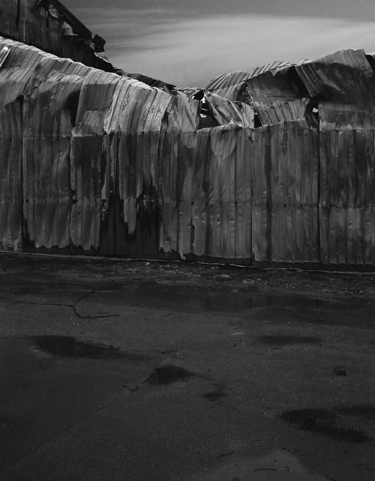 Vasylyna Vrublevska, Fading I, 2022