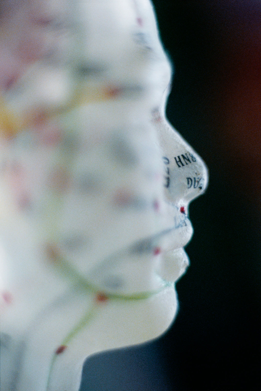 Jeanne Susplugas, Acupuncture (face), 2010