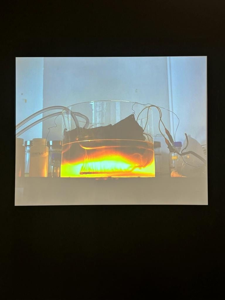 Marie-Luce Nadal, Rodeille, for an introduction, 2015