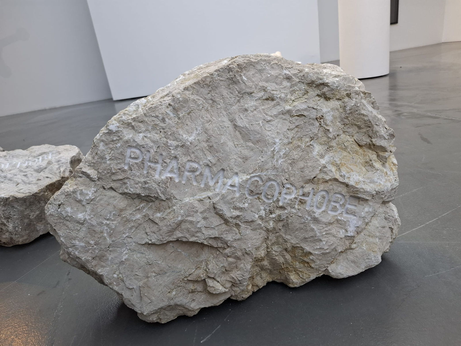 Jeanne Susplugas, Chemin initiatique (Pharmacophobe), 2023