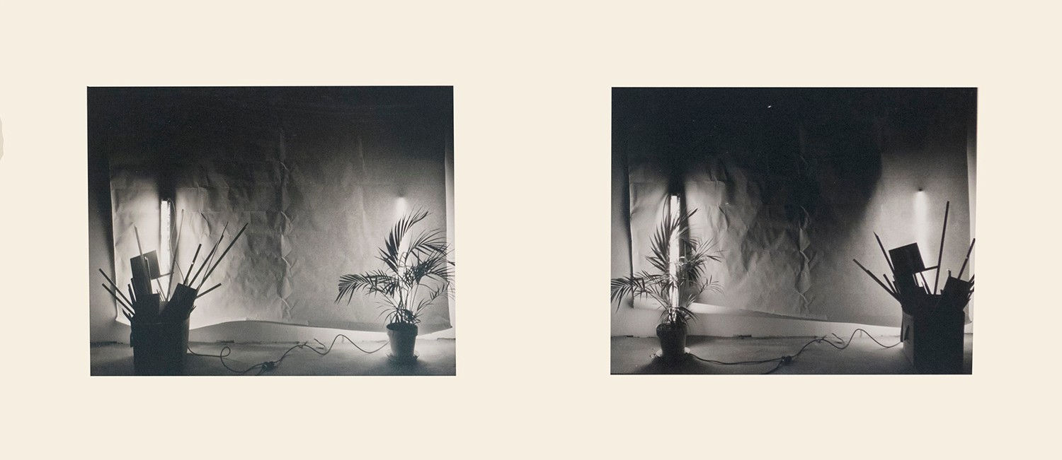David Haxton, No. 13, Untitled, Diptych, 1976